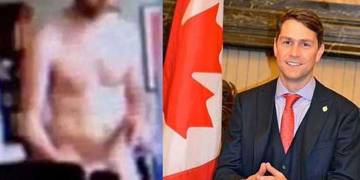 Canadian lawmaker appears completely naked on Zoom legislative meeting after 'accidentally' leaving camera on