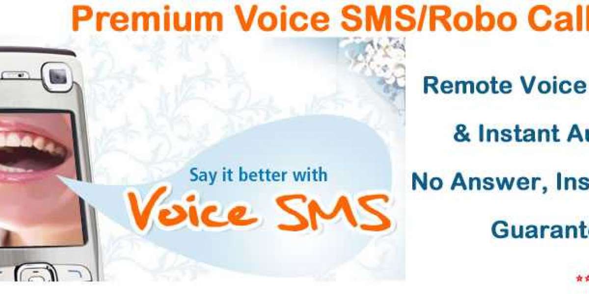 Premium Voice SMS Solution