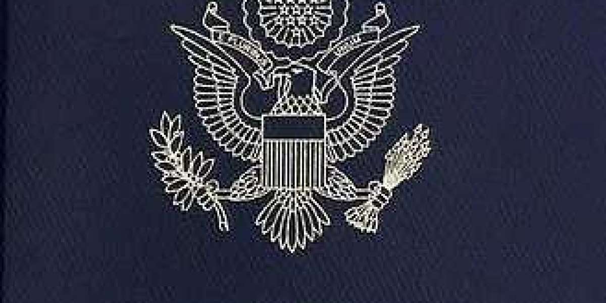 Which passport allows a visa-free entry to the US?