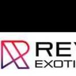 Rev Exotic Car Rentals And Limo Services