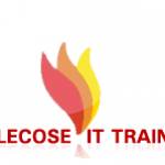 Elecose IT Training