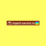 ingeriicerului