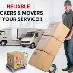 omexacargo movers