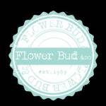 Flower Bud