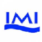 International Maritime Institute