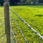 Razor fencing