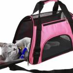 Pet travel carrier