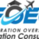 Federation overseas education consultants