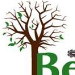 Bens Tree and Garden Services