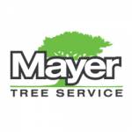 Mayer Tree Service