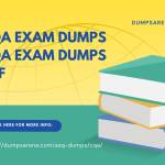 CQAExam Dumps