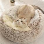 Latest pet beds and mats