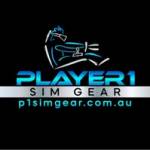 Player1 Sim Gear