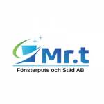 Mrt fönsterputs och städ