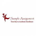 accounting assignment help