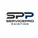 Servicepropainting