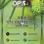 전주오피 오피쓰COM 전주OP