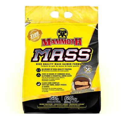 Mammoth Mass Weight Gainer (15lbs) Profile Picture