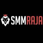 smmpanel12