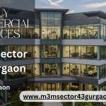 M3M Sector 43 Gurgaon
