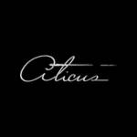 Aticus LLC