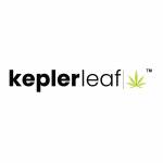Kepler Leaf