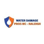 the Water Damage Pros Raleigh nc