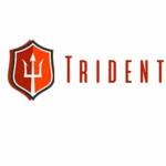 tridentshipping tradingpteltd