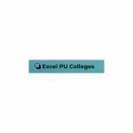 Excel PU Colleges