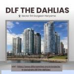 dlfthedahlias 7