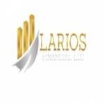 Larios Financial