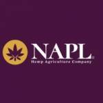 Nap limited