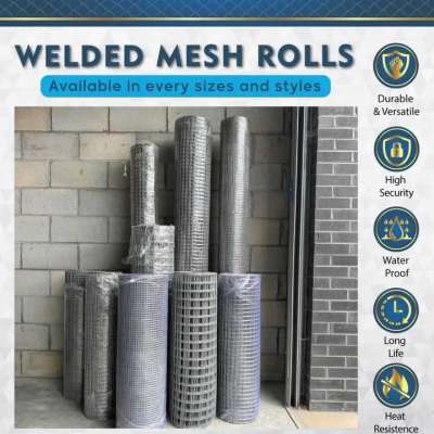 Welded Wire Mesh Rolls Profile Picture